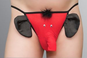 Andalea MC/9029 Elephant red Stringi męskie