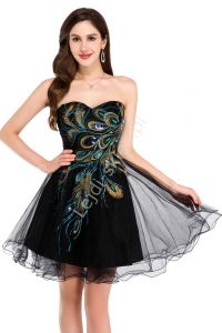 Czarna sukienka z pawimi piórami | sukienki tiulowe