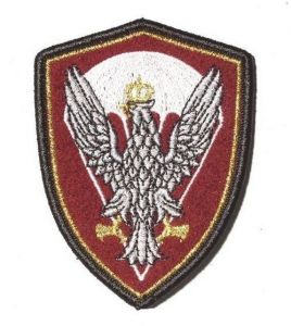 Emblemat Wojska Polskiego Desant - wyjściowy