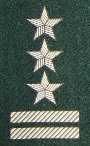 Stopień na beret WP (zielony / t) - pułkownik
