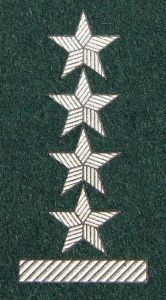 Stopień na beret WP (zielony / t) - kapitan