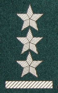 Stopień na beret WP (zielony / t) - porucznik