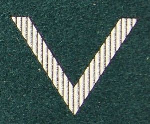 Stopień na beret WP (zielony / t) - sierżant