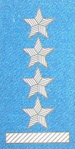 Stopień na beret WP (niebieski) - kapitan