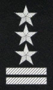 Stopień na beret WP (czarny / t) - pułkownik