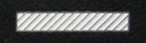 Stopień na beret WP (czarny / t) - starszy szeregowy