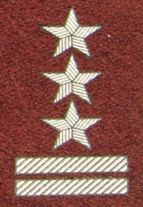 Stopień na beret WP (bordowy / t) - pułkownik