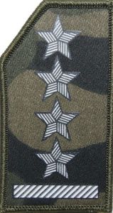 Stopień (termonadruk) do czapki kepi Straży Granicznej - kapitan