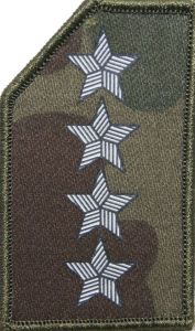 Stopień (termonadruk) do czapki kepi Straży Granicznej - starszy chorąży sztabowy