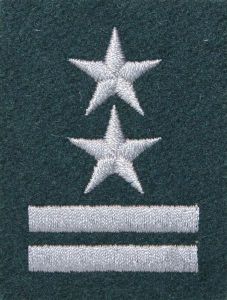 Stopień na beret WP (zielony / h) - podpułkownik