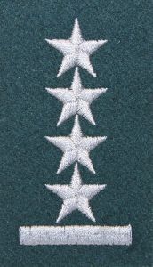 Stopień na beret WP (zielony / h) - kapitan