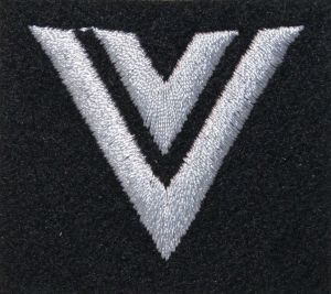 Stopień na beret WP (czarny / h) - starszy sierżant